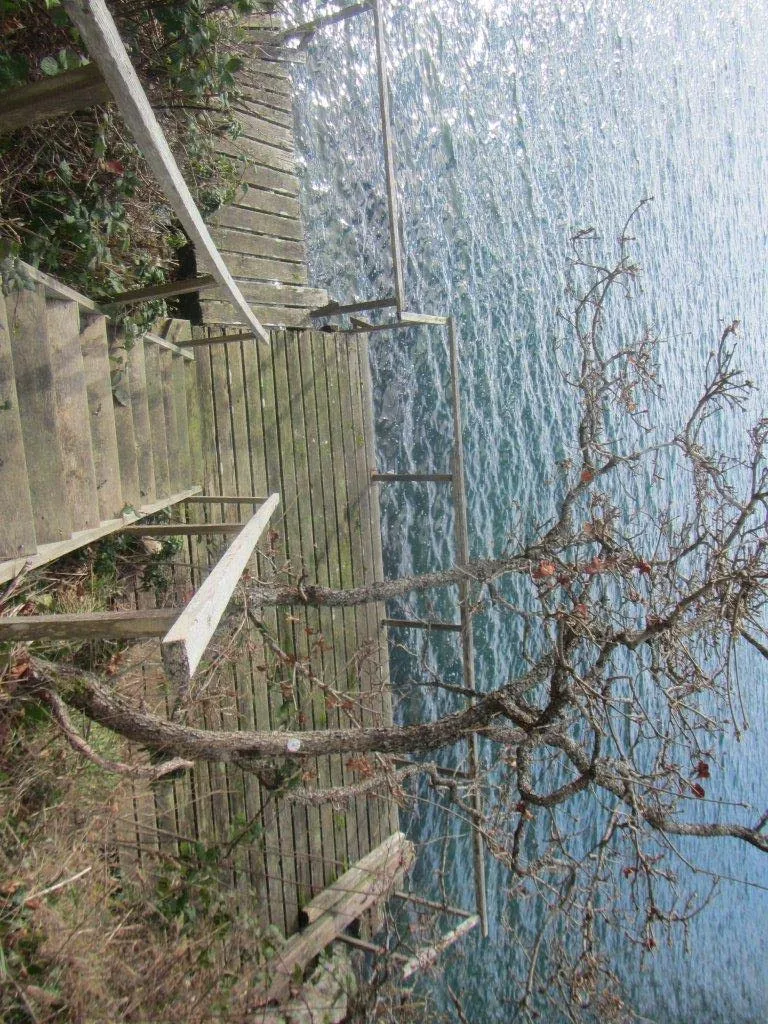 High-angle view looking down at the wooden stairs and deck at the shoreline