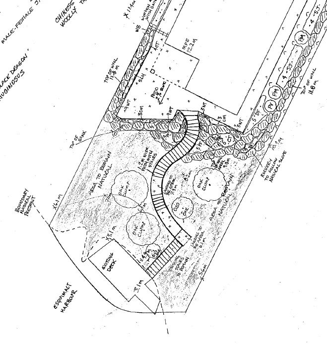 Fig. 1. Proposed House, Patio and Landscaping diagram for 283 Kerwood Ave, highlighting the 15m setback line and existing natural features