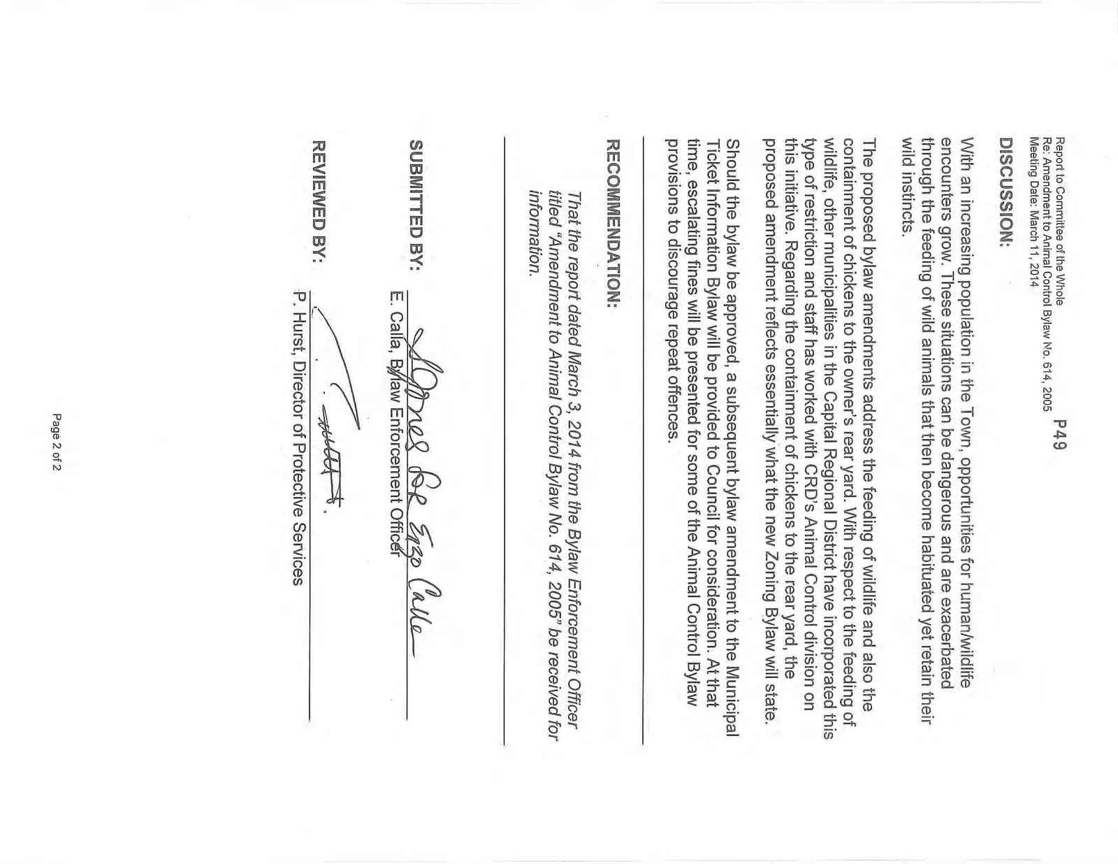 Document image