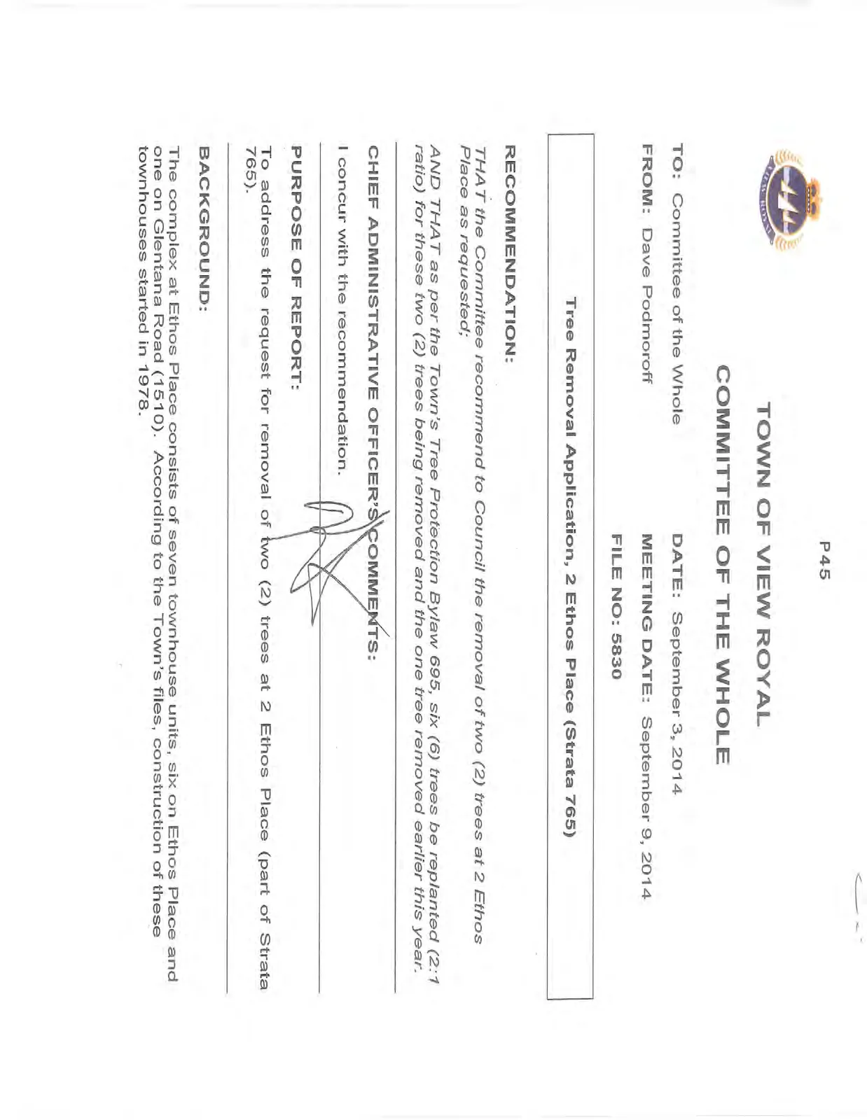 Document image