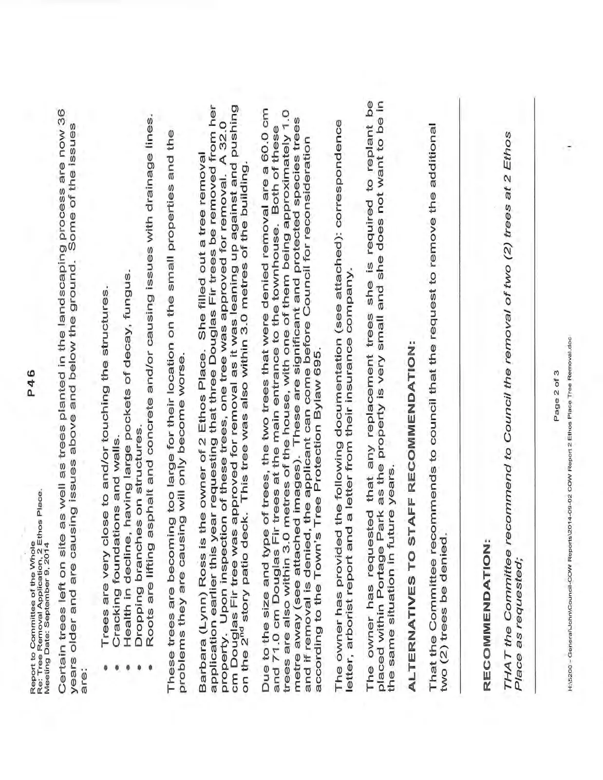 Document image