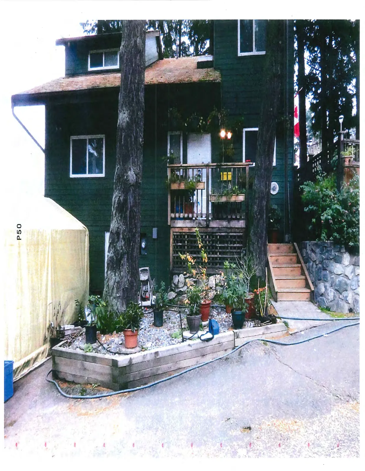 View of a dark green house with large trees in the foreground and various potted plants near a set of wooden stairs.
