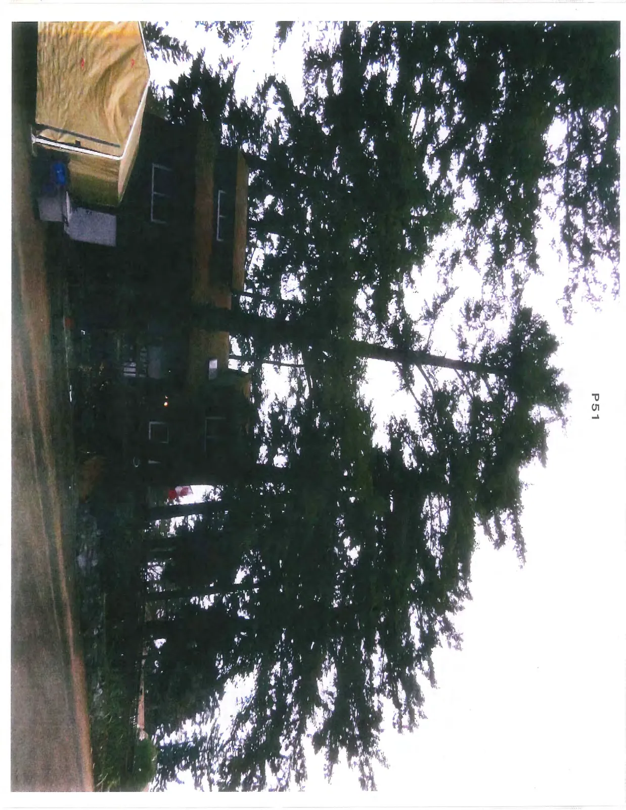 Distant view of a dark green house partially obscured by several tall coniferous trees, with a yellow shelter on the left.