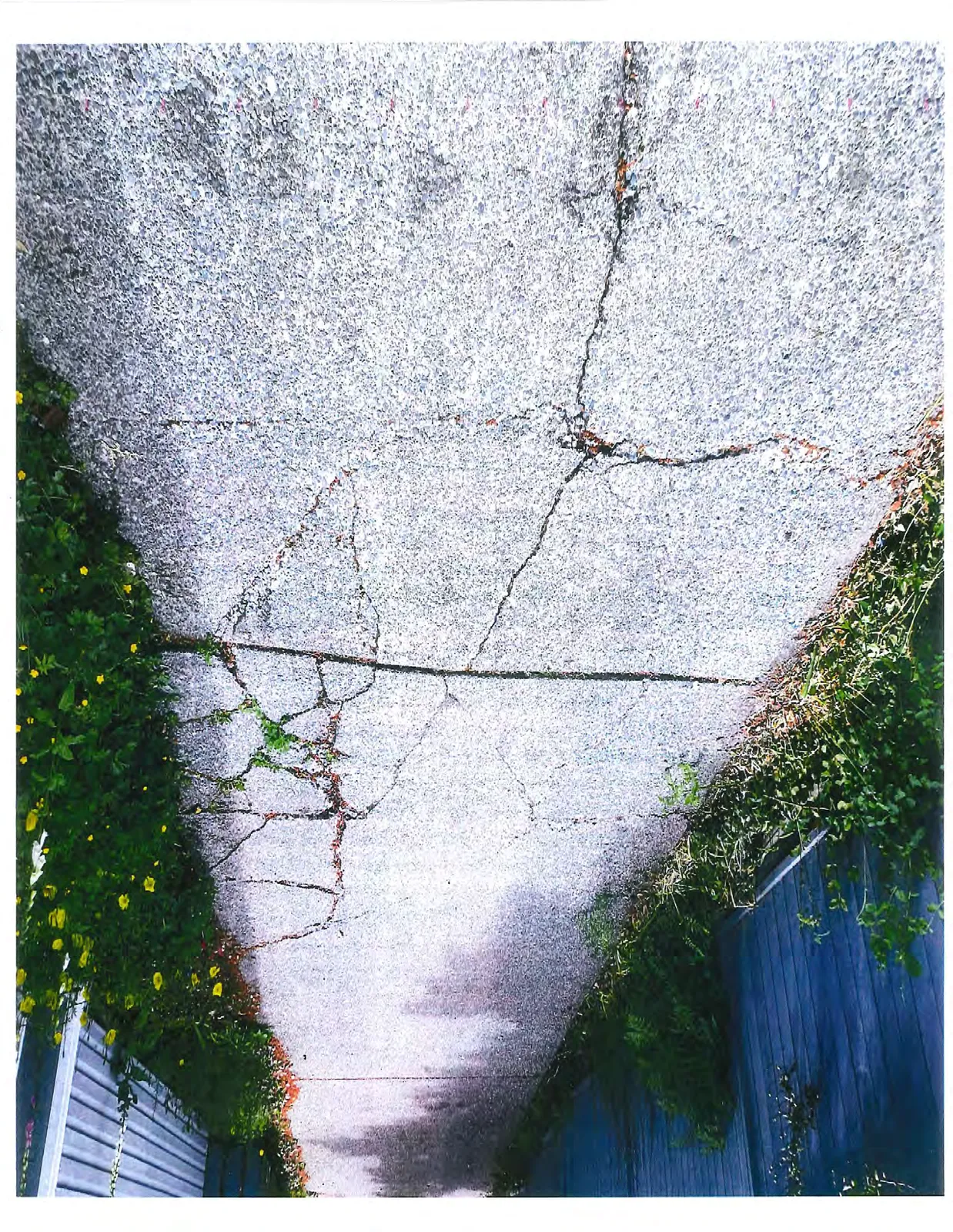 Additional view of cracked asphalt pavement with organic debris and weeds growing through the fissures.
