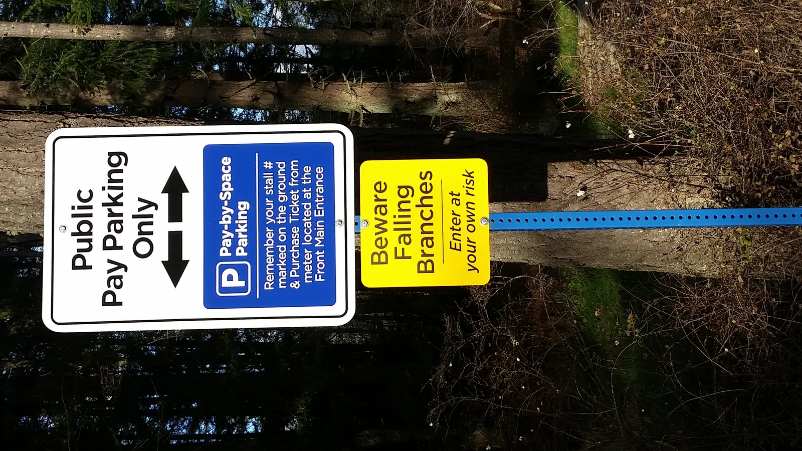 Warning signs at the site regarding public pay parking and falling branches