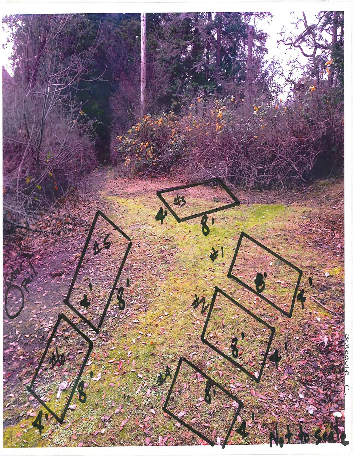 An annotated photograph of a clearing in a wooded area showing six hand-drawn rectangular plots numbered #1 through #6. Each plot is labeled with dimensions of 4' and 8'. A circle on the left is labeled "Trail". The words "Not to scale" appear at the bottom right corner.