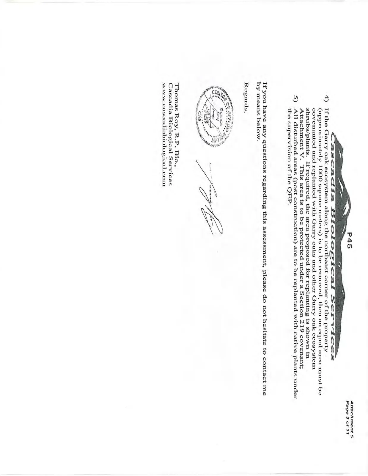 Document image