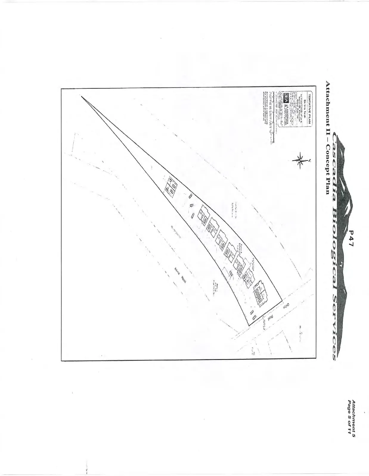 Tentative subdivision concept plan for 102 Atkins Road