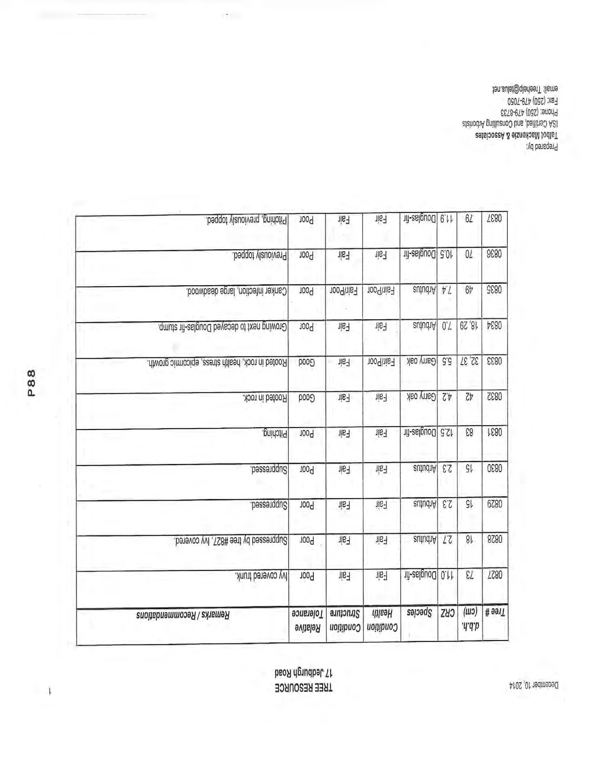 Document image