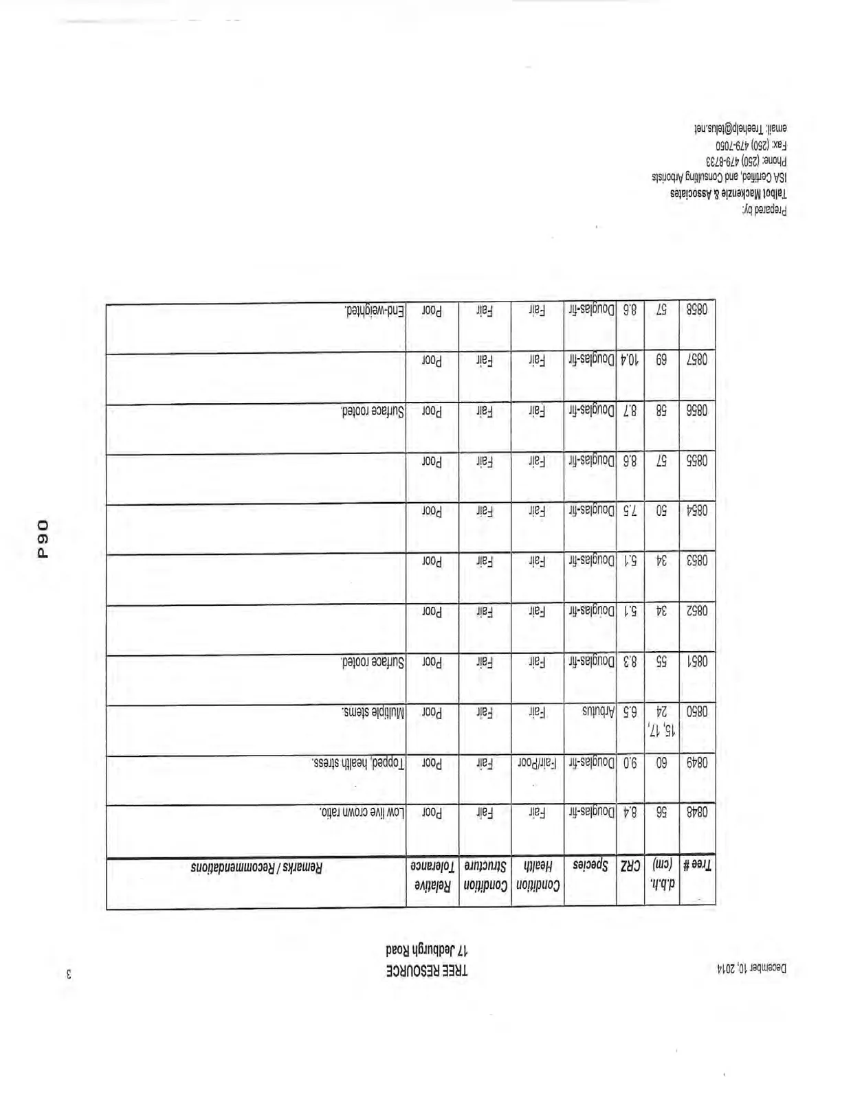 Document image