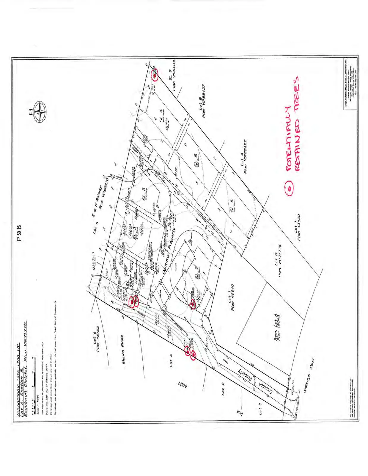 Detailed topographic site plan showing property boundaries, elevations, and existing structures for various lots including Strata Lots 1-7, Common Property, and adjacent parcels. Specific trees are highlighted with red circles and annotated as "Potentially Retained Trees."