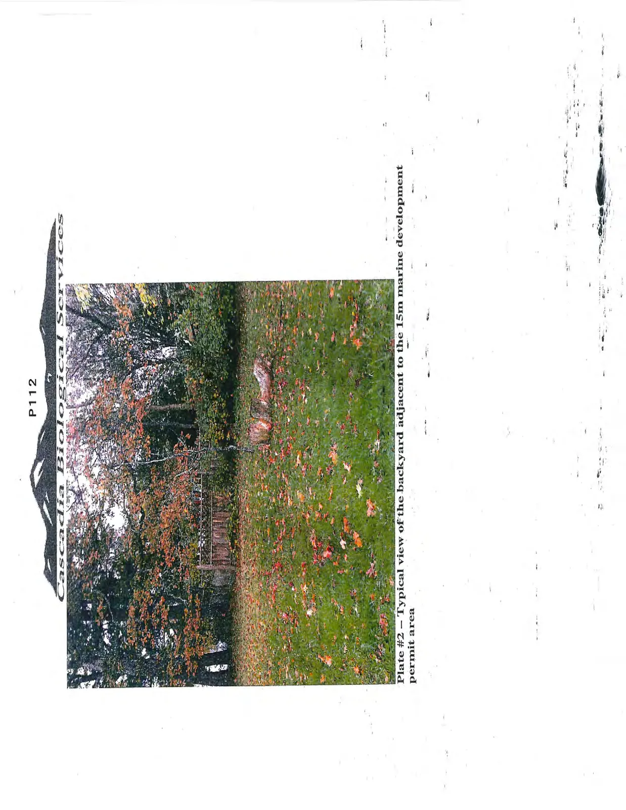 Plate #2 – Typical view of the backyard adjacent to the 15m marine development permit area