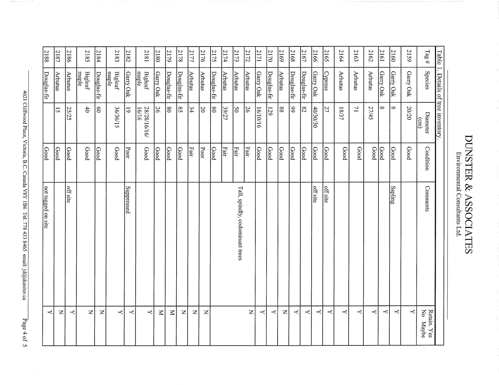 Document image