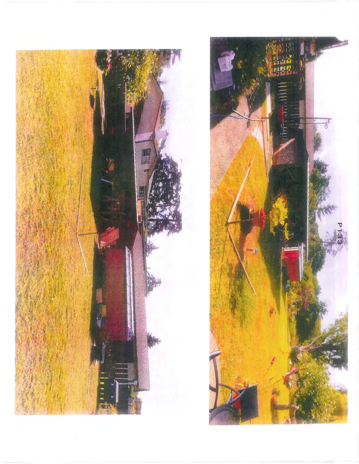 Photos of the existing backyard at 77 Caton Pl, showing current sheds and lawn area