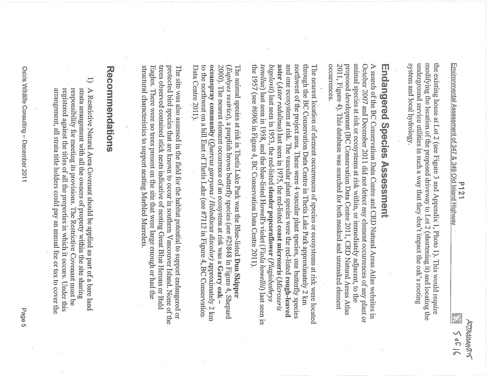 Document image