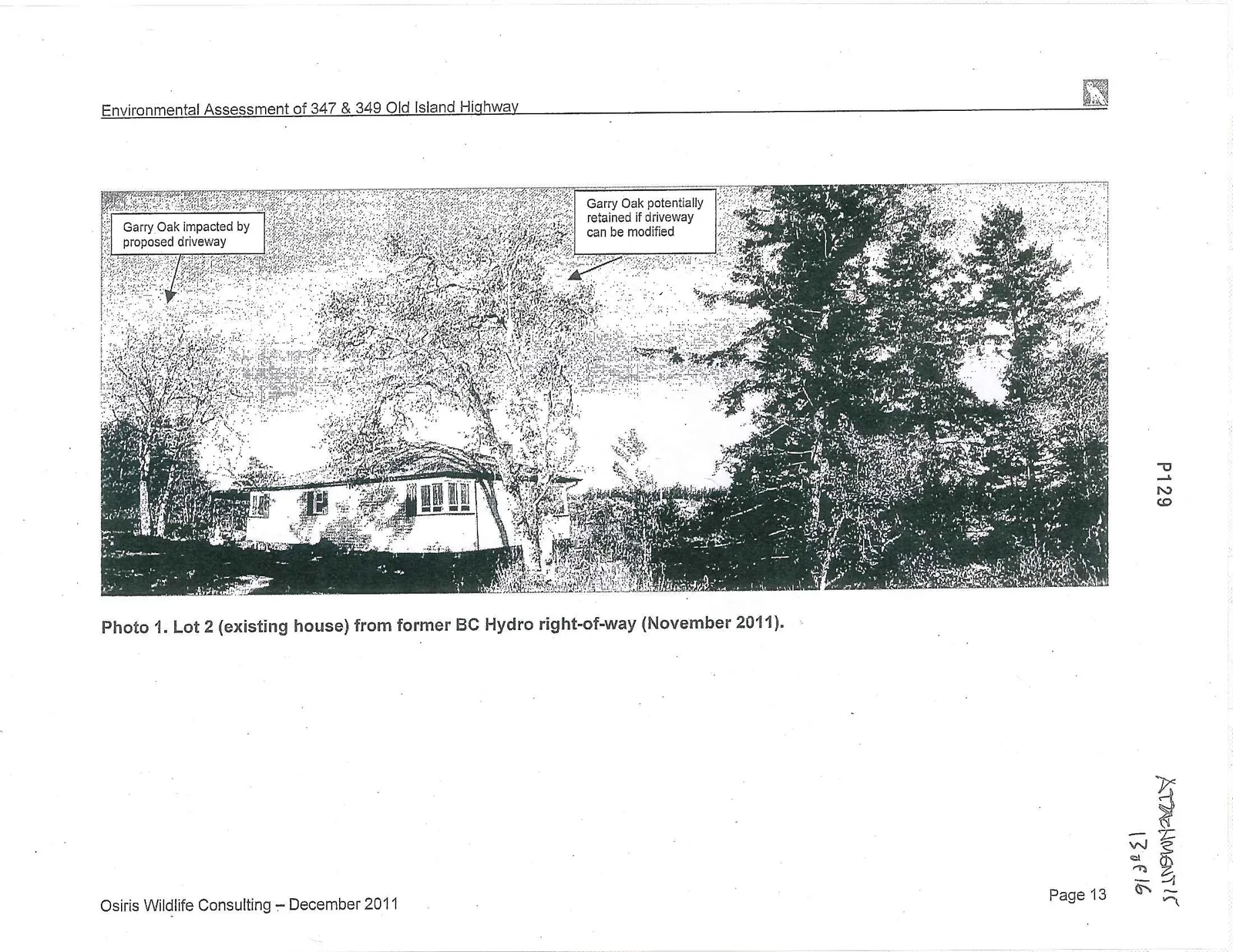 Photo 1. Lot 2 (existing house) from former BC Hydro right-of-way (November 2011) showing Garry Oaks impacted by or potentially retainable with modified driveway.