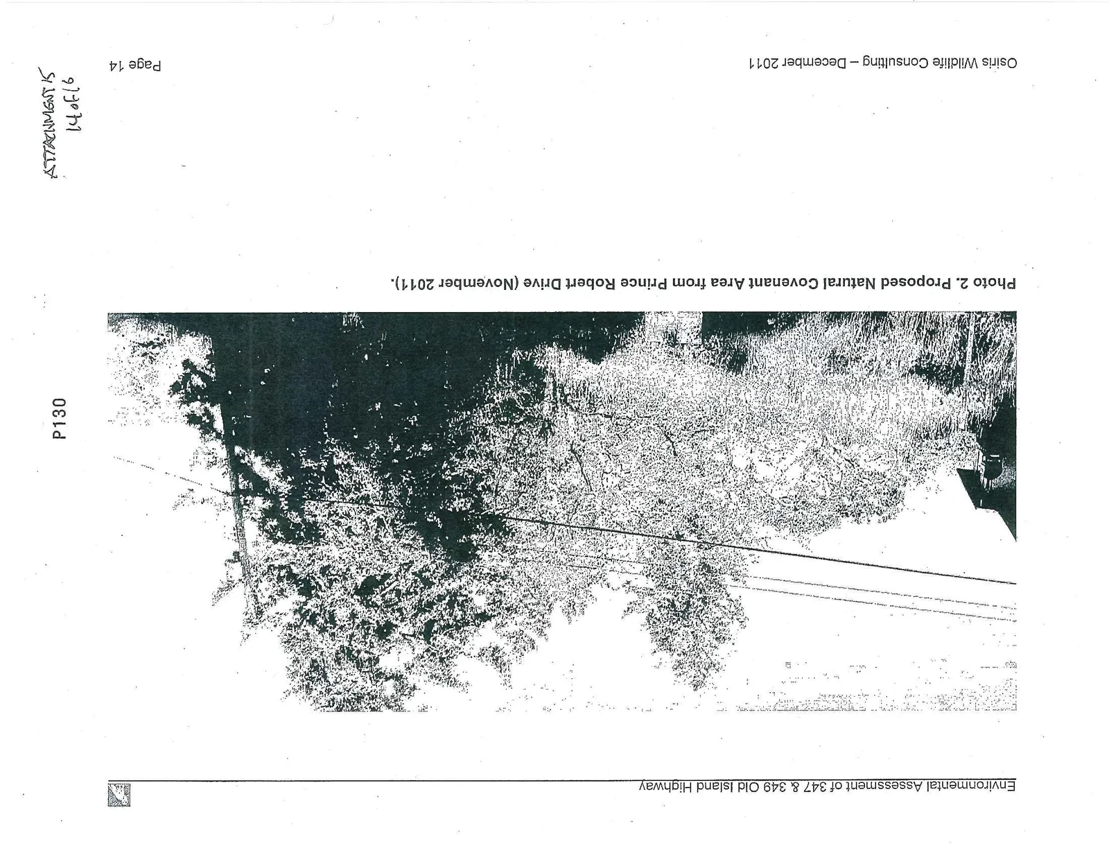 Photo 2. Proposed Natural Covenant Area from Prince Robert Drive (November 2011).