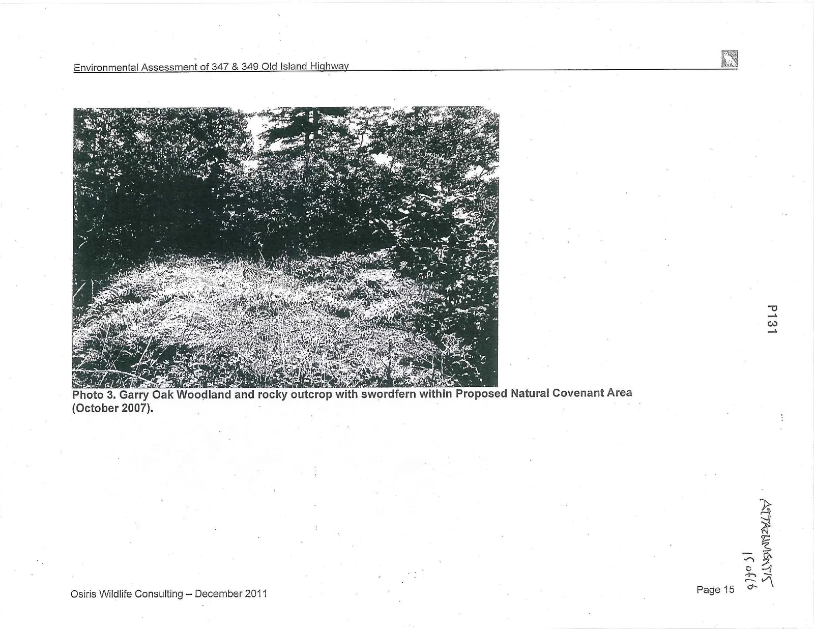 Photo 3. Garry Oak Woodland and rocky outcrop with swordfern within Proposed Natural Covenant Area (October 2007).