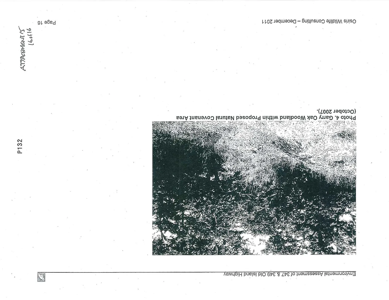 Photo 4. Garry Oak Woodland within Proposed Natural Covenant Area (October 2007).