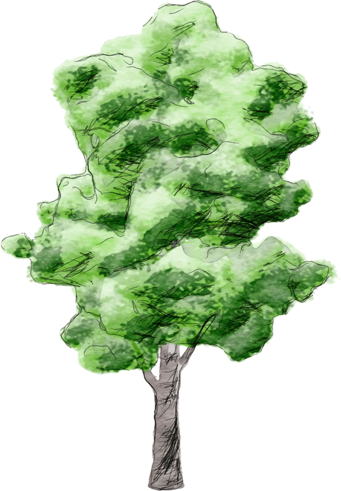 Silhouette of a man used as a scale figure in the site sections