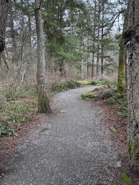 Portage Park trail before receiving new gravel topping