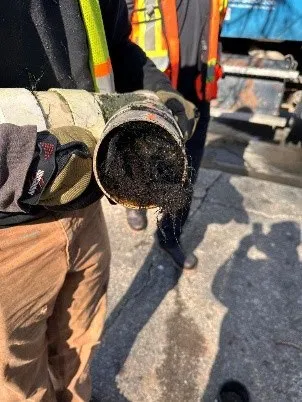 Close-up of a pipe section completely clogged with tree roots