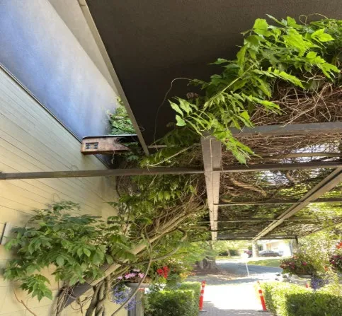 Overhanging Roof Beam – Before, showing water damage