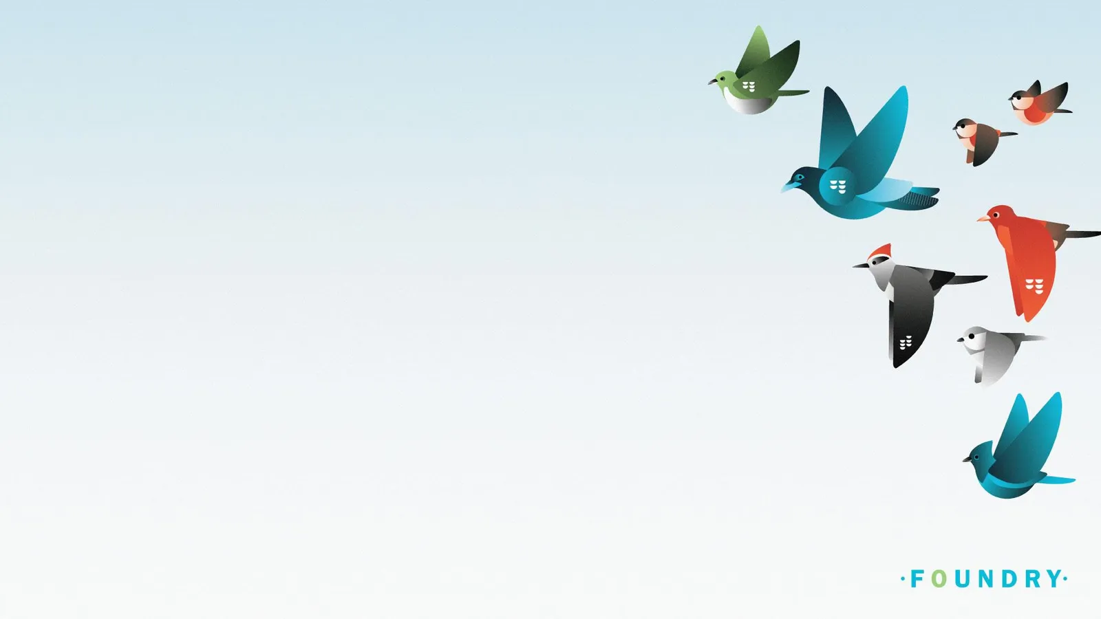Illustration of several different birds flying
