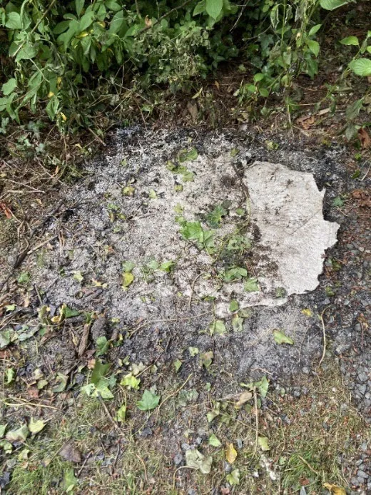 Remnants of a burnt invasive species bag on the ground