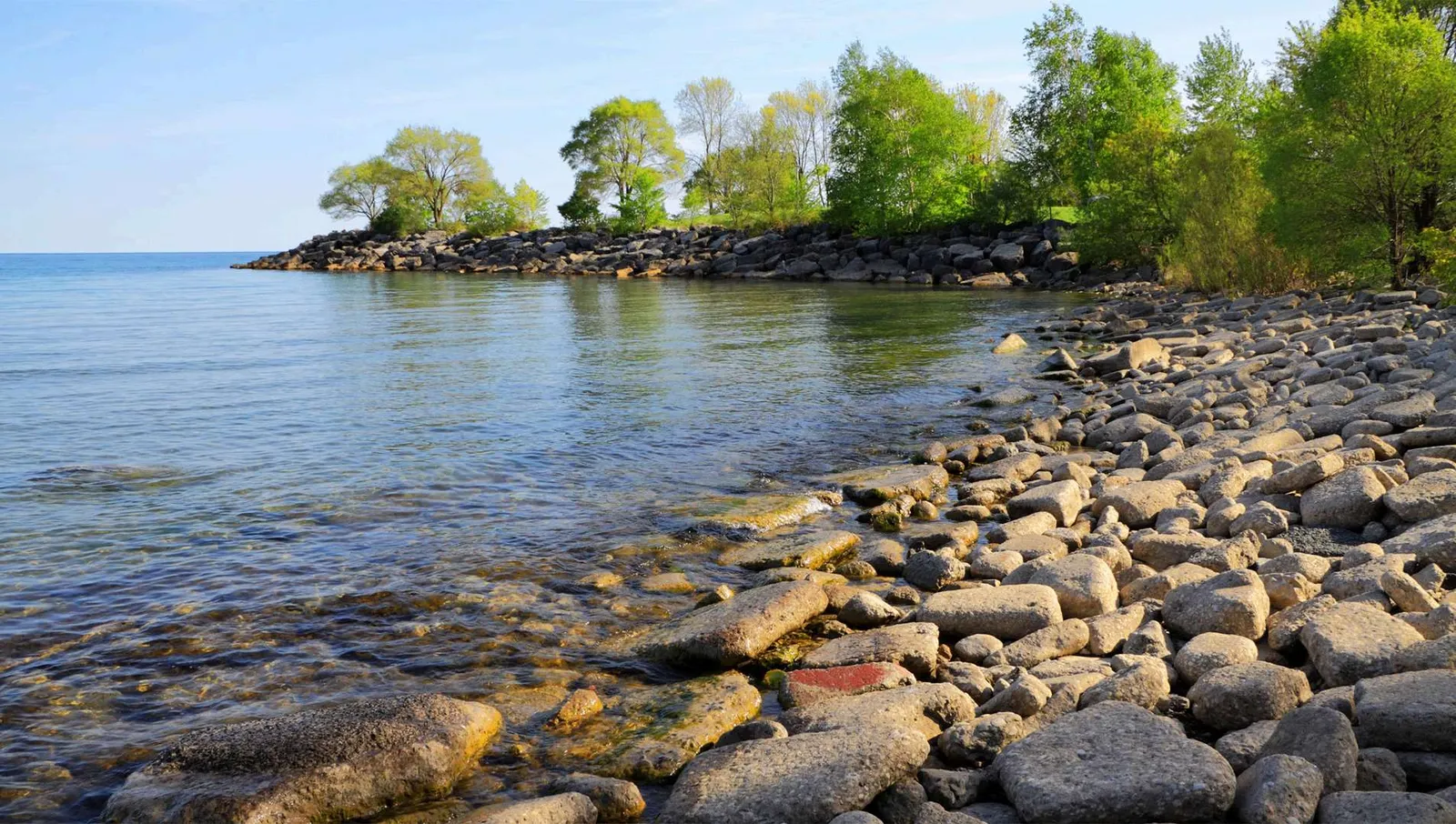 Rocky shoreline of Lake Ontario with green trees under a clear blue sky