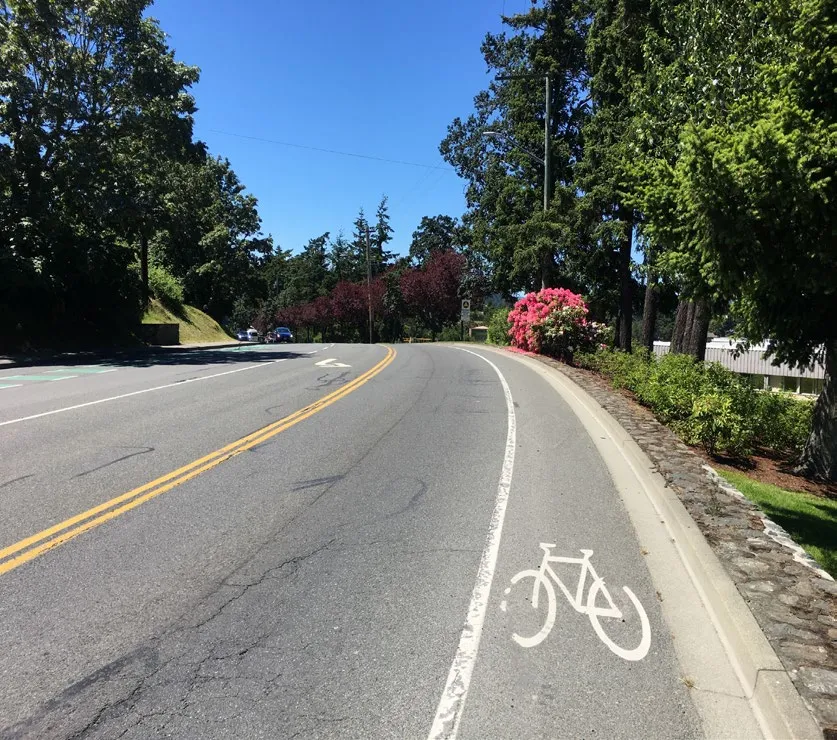 Street view of road with a painted bike lane
