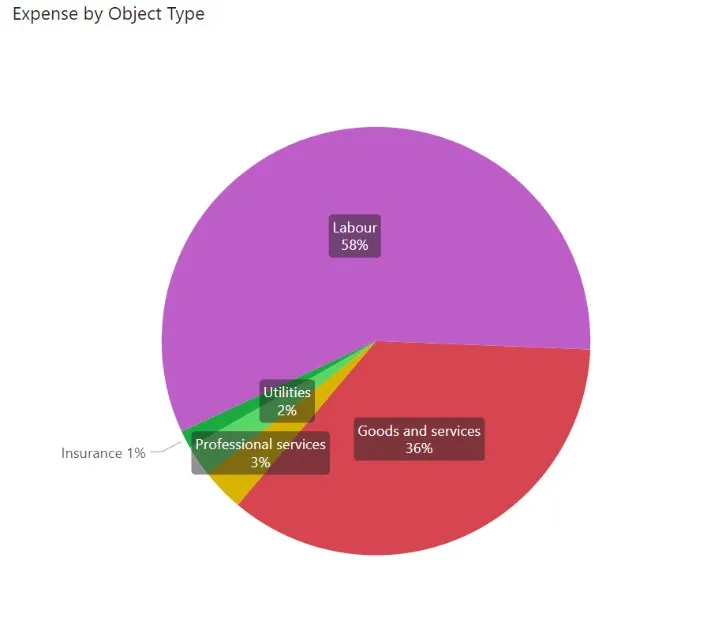 Pie chart titled "Expense by Object Type" for Parks Services showing Labour 58%, Goods and services 36%, Professional services 3%, Utilities 2%, and Insurance 1%
