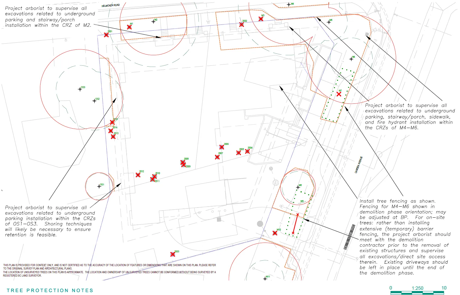 Tree impact and protection plan map