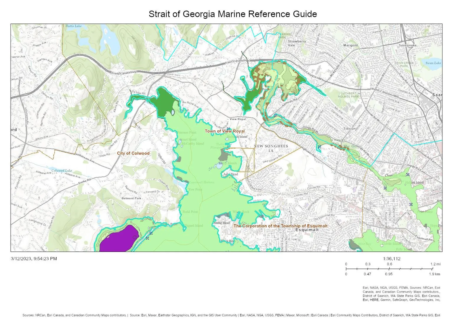 Map from the Strait of Georgia Marine Reference Guide focusing on the marine environments around the Town of View Royal, City of Colwood, and Township of Esquimalt.