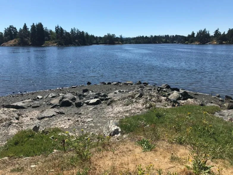 Another view of the rocky shoreline area prior to restoration work.