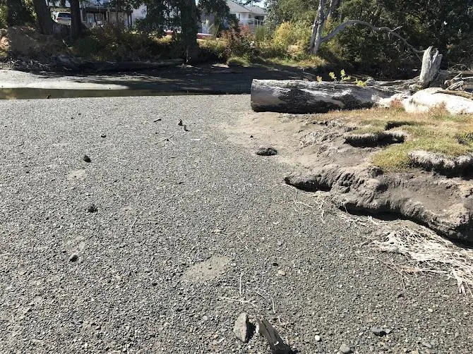 Ground-level view of an exposed mudflat area with scattered logs and minimal marsh vegetation.