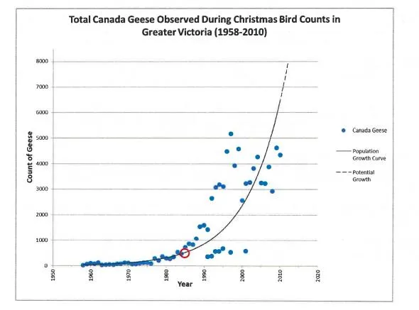 Graph showing the exponential increase in Canada Geese populations in Greater Victoria based on Christmas Bird Counts from 1958 to 2010.