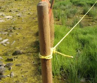 Close-up photo of a protective fence post and mesh used to exclude geese from sensitive restoration areas.
