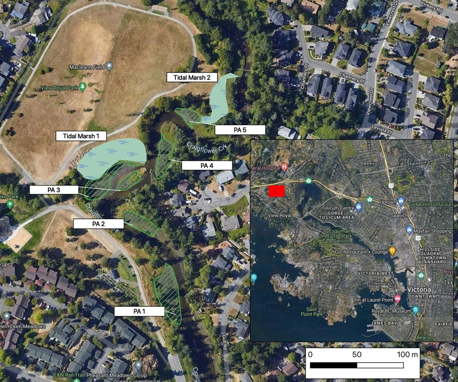 Aerial map of View Royal Park identifying five project areas (PA 1 through PA 5) along Craigflower Creek for tidal marsh restoration.