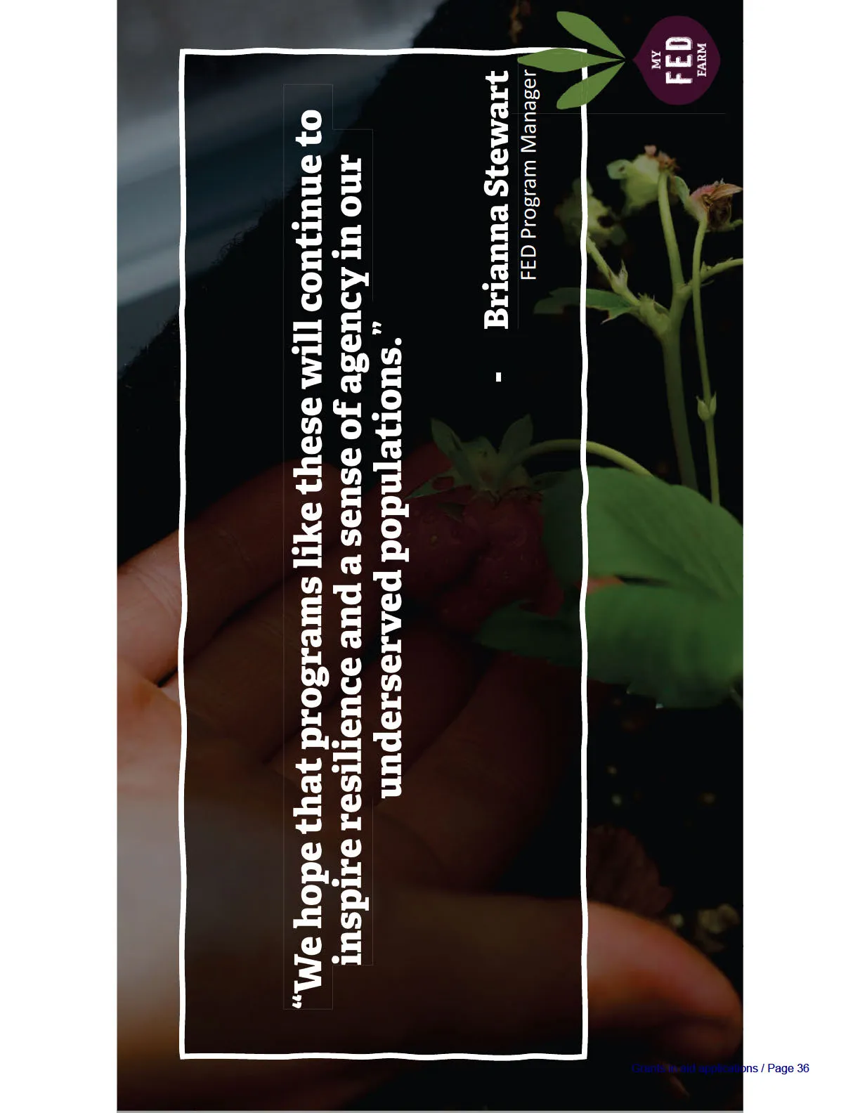 Close-up photograph of a hand holding a strawberry plant seedling