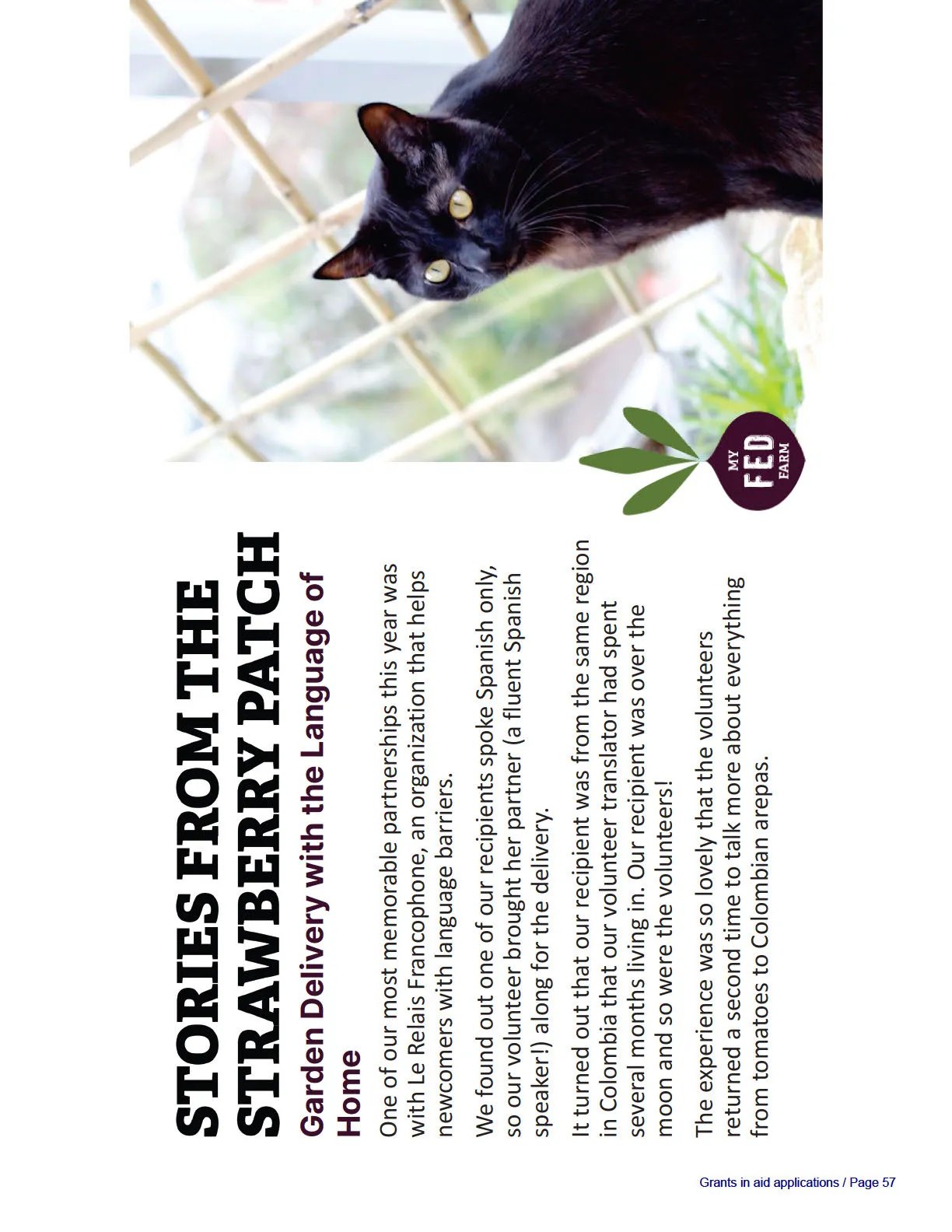 Close-up photograph of a black cat looking through a wooden trellis structure