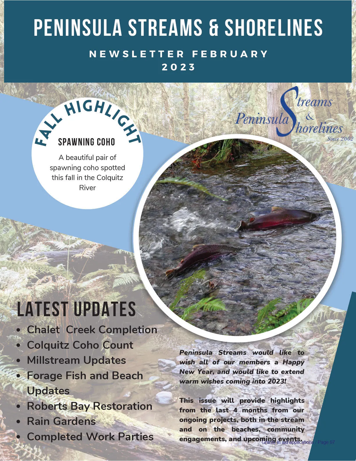 A pair of spawning coho salmon in the Colquitz River