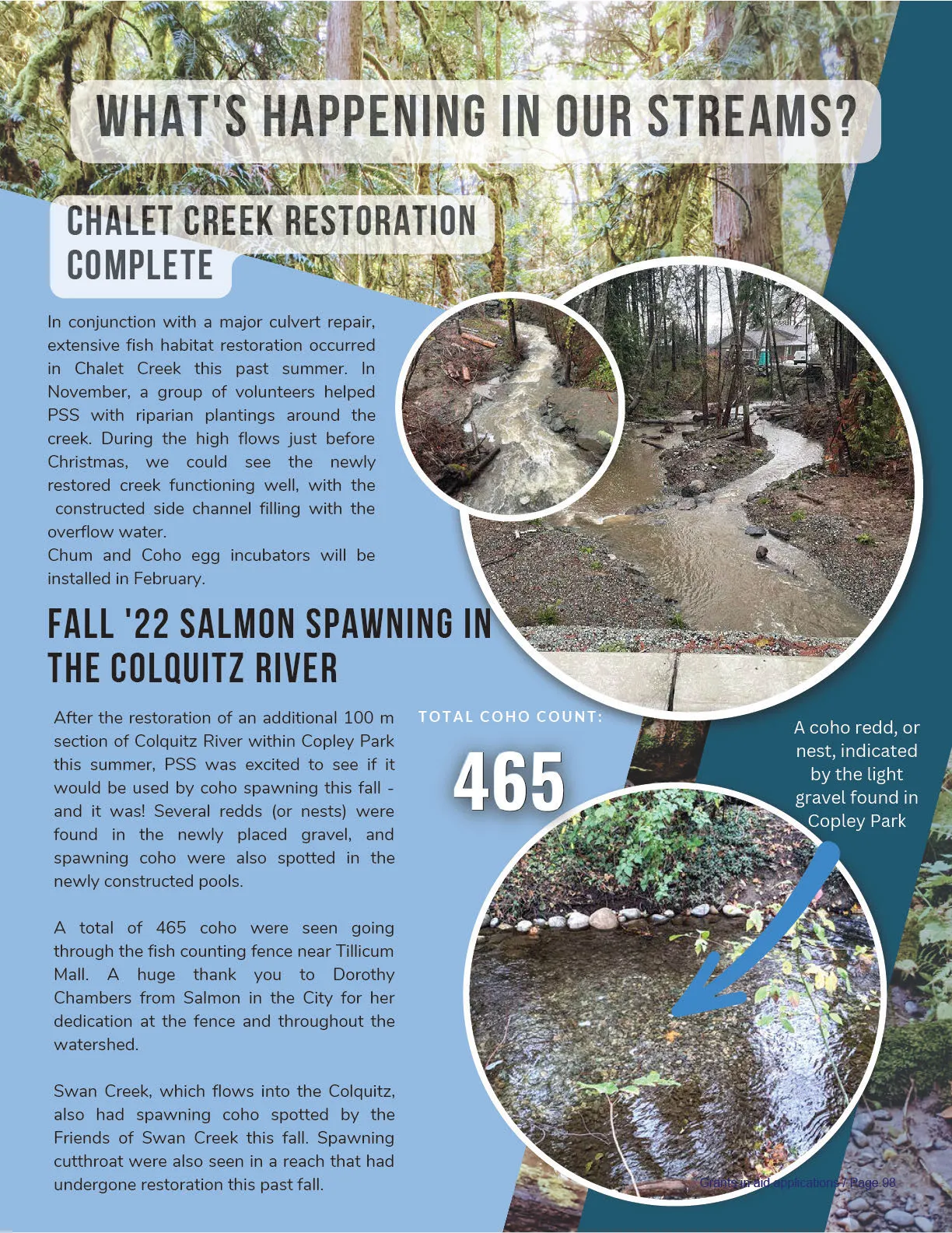 A narrow section of Chalet Creek after restoration work