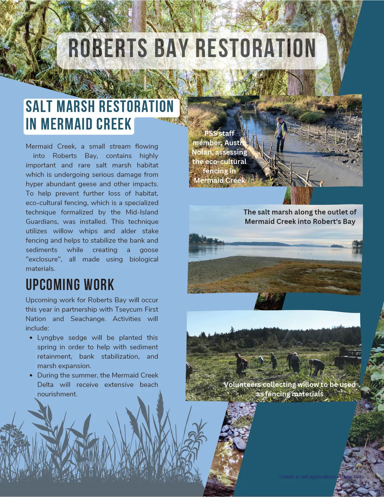 PSS staff member, Austin Nolan, assessing the eco-cultural fencing in Mermaid Creek