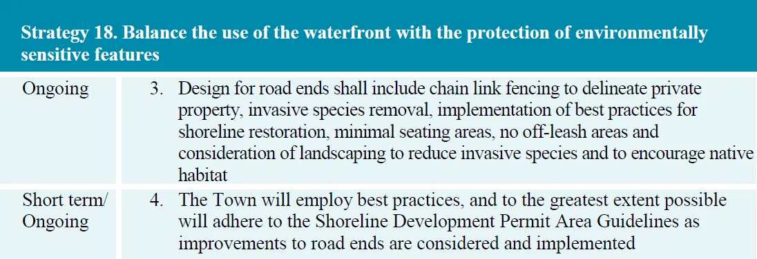Strategy 18 table from the Parks Master Plan regarding waterfront management