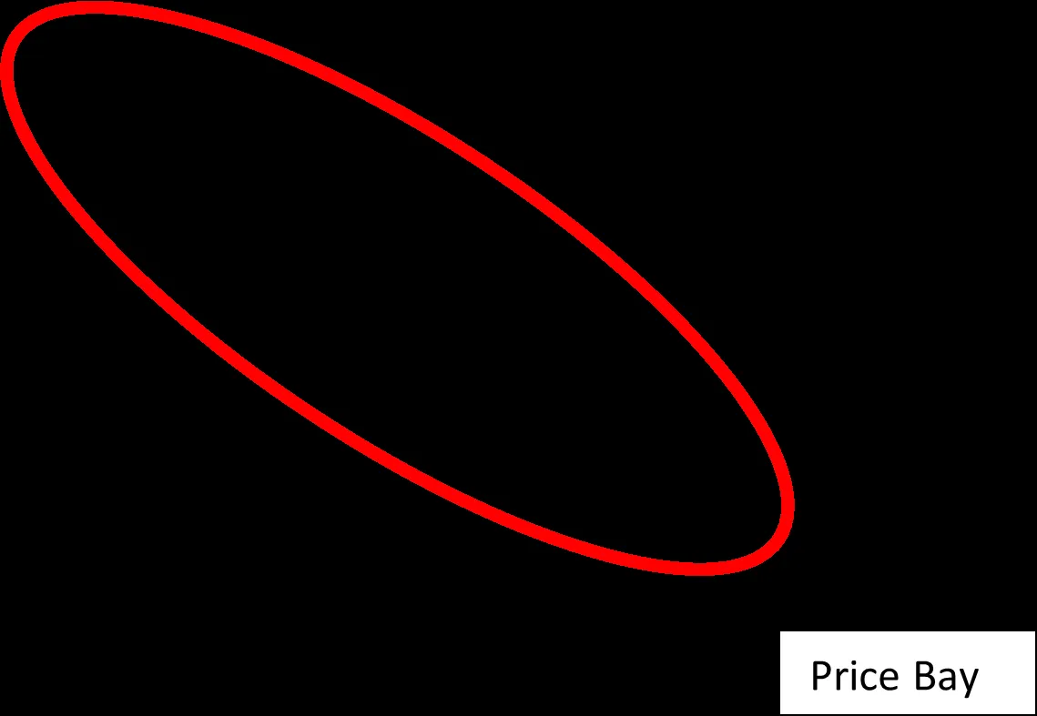 Red oval overlay highlighting the shoreline area on the aerial map