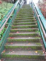 Concrete staircase showing moss growth on the treads and risers