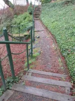View of the path showing invasive species in the statutory right of way (SRW)