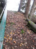 View of the north side of the staircase bank showing bare soil and debris