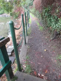 Path following the shoreline, bordered by a chain fence and ivy-covered banks